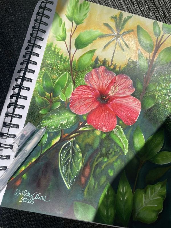 Zeichnung einer roten Hibiskusblüte zwischen tropischen Blättern