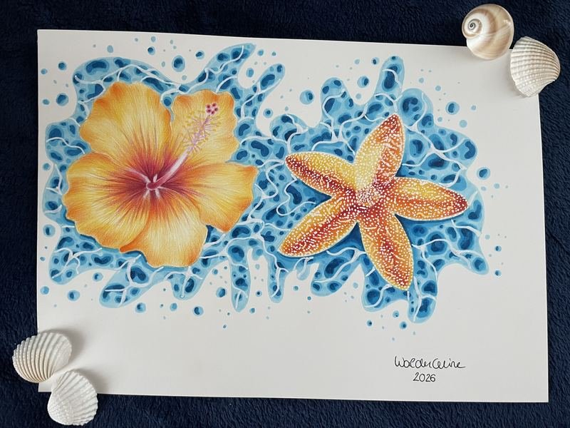 Zeichnung von gelben Hibiskusblüten und einem Seestern, umgeben von blauen Punkten